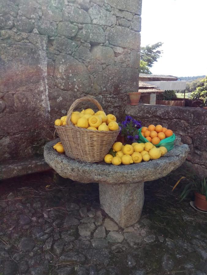 Casa Do Balcao Guest House Alcains ภายนอก รูปภาพ